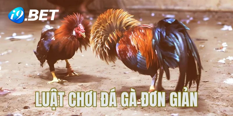 Luật chơi đá gà